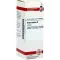 AVENA SATIVA Moedertinctuur, 20 ml