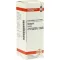 ARNICA Moedertinctuur D 1, 20 ml
