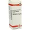VISCUM ALBUM Moedertinctuur, 20 ml