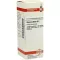 VISCUM ALBUM D 2 Verdunning, 20 ml