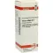 VISCUM ALBUM D 6 Verdunning, 20 ml