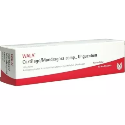CARTILAGO/Mandragora comp Unguentum, 100 g CARTILAGO/Mandragora comp Unguentum, 100 g