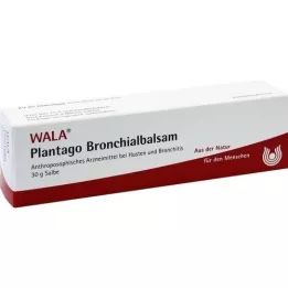 PLANTAGO Bronchiale balsem, 30 g