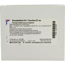 BRYOPHYLLUM D 5/Conchae D 7 ampullen, 5X10 ml