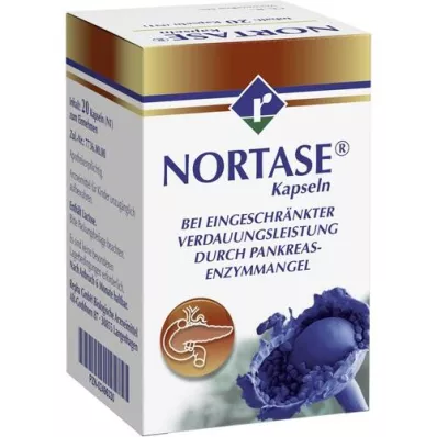 NORTASE Capsules, 20 stuks