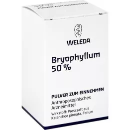 BRYOPHYLLUM 50% oraal poeder, 20 g