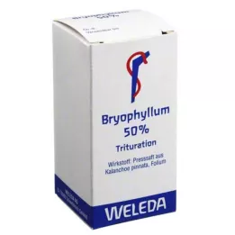 BRYOPHYLLUM 50% oraal poeder, 20 g