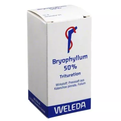 BRYOPHYLLUM 50% oraal poeder, 20 g BRYOPHYLLUM 50% oraal poeder, 20 g