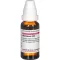 ABROTANUM D 30 Verdunning, 20 ml