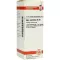 APIS MELLIFICA D 30 Verdunning, 20 ml