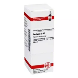 BERBERIS D 12 Verdunning, 20 ml