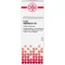 CARBO VEGETABILIS D 10 Verdunning, 20 ml