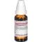 CARDIOSPERMUM D 1 Verdunning, 20 ml