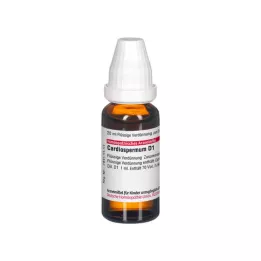 CARDIOSPERMUM D 1 Verdunning, 20 ml