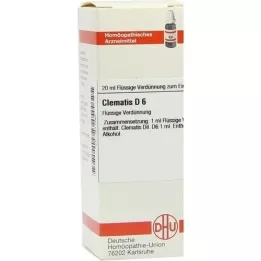 CLEMATIS D 6 Verdunning, 20 ml