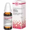 COLLINSONIA CANADENSIS D 3 Verdunning, 20 ml