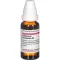 COLLINSONIA CANADENSIS D 3 Verdunning, 20 ml