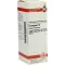 CRATAEGUS D 6 Verdunning, 20 ml