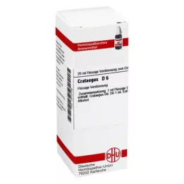 CRATAEGUS D 6 Verdunning, 20 ml