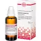 EQUISETUM ARVENSE D 3 Verdunning, 50 ml