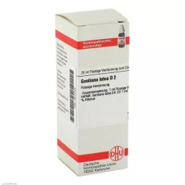 GENTIANA LUTEA D 2 Verdunning, 20 ml