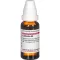 LEPTANDRA D 6 Verdunning, 20 ml