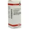 PAREIRA BRAVA D 6 Verdunning, 20 ml