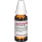 PAREIRA BRAVA D 6 Verdunning, 20 ml