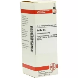 SCILLA D 6 Verdunning, 20 ml