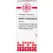 ACIDUM SARCOLACTICUM D 6 tabletten, 80 stuks