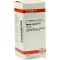AGNUS CASTUS D 12 tabletten, 80 st