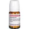 HAMAMELIS D 6 tabletten, 80 stuks