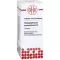 HARPAGOPHYTUM PROCUMBENS D 6 tabletten, 80 stuks