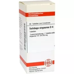 SOLIDAGO VIRGAUREA D 4 tabletten, 80 st