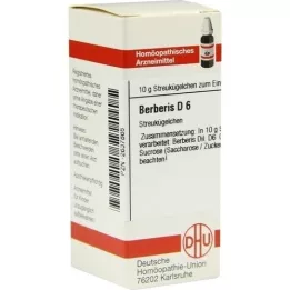 BERBERIS D 6 bolletjes, 10 g