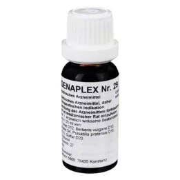 REGENAPLEX Nr.29 druppels, 15 ml