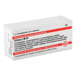 SILICEA LM VI Bolletjes, 5 g
