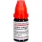 CALCIUM CARBONICUM Hahnemanni LM VI Verdunning, 10 ml