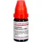 CAUSTICUM HAHNEMANNI LM VI Verdunning, 10 ml