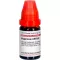 HYPERICUM LM XVIII Verdunning, 10 ml