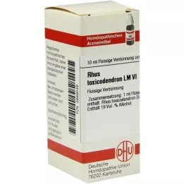 RHUS TOXICODENDRON LM VI Verdunning, 10 ml