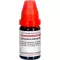 ARSENICUM ALBUM LM XXX Verdunning, 10 ml