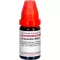 CHAMOMILLA LM XXX Verdunning, 10 ml