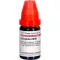 GRAPHITES LM XII Verdunning, 10 ml