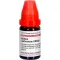 KALIUM CARBONICUM LM XXX Verdunning, 10 ml