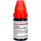 NATRIUM CARBONICUM LM XII Verdunning, 10 ml