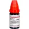 PLUMBUM METALLICUM LM XXIV Verdunning, 10 ml