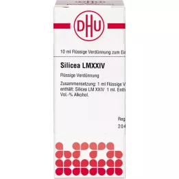SILICEA LM XXIV Verdunning, 10 ml