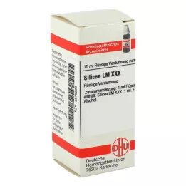 SILICEA LM XXX Verdunning, 10 ml
