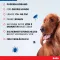 BOLFO Vlooienband bruin voor grote honden, 1 st